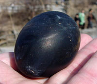 The infamous black egg