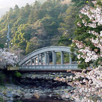 A bridge in Hakone-Yumoto