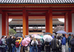 Foreigners at Kyoto-jou (Kyoto Palace)